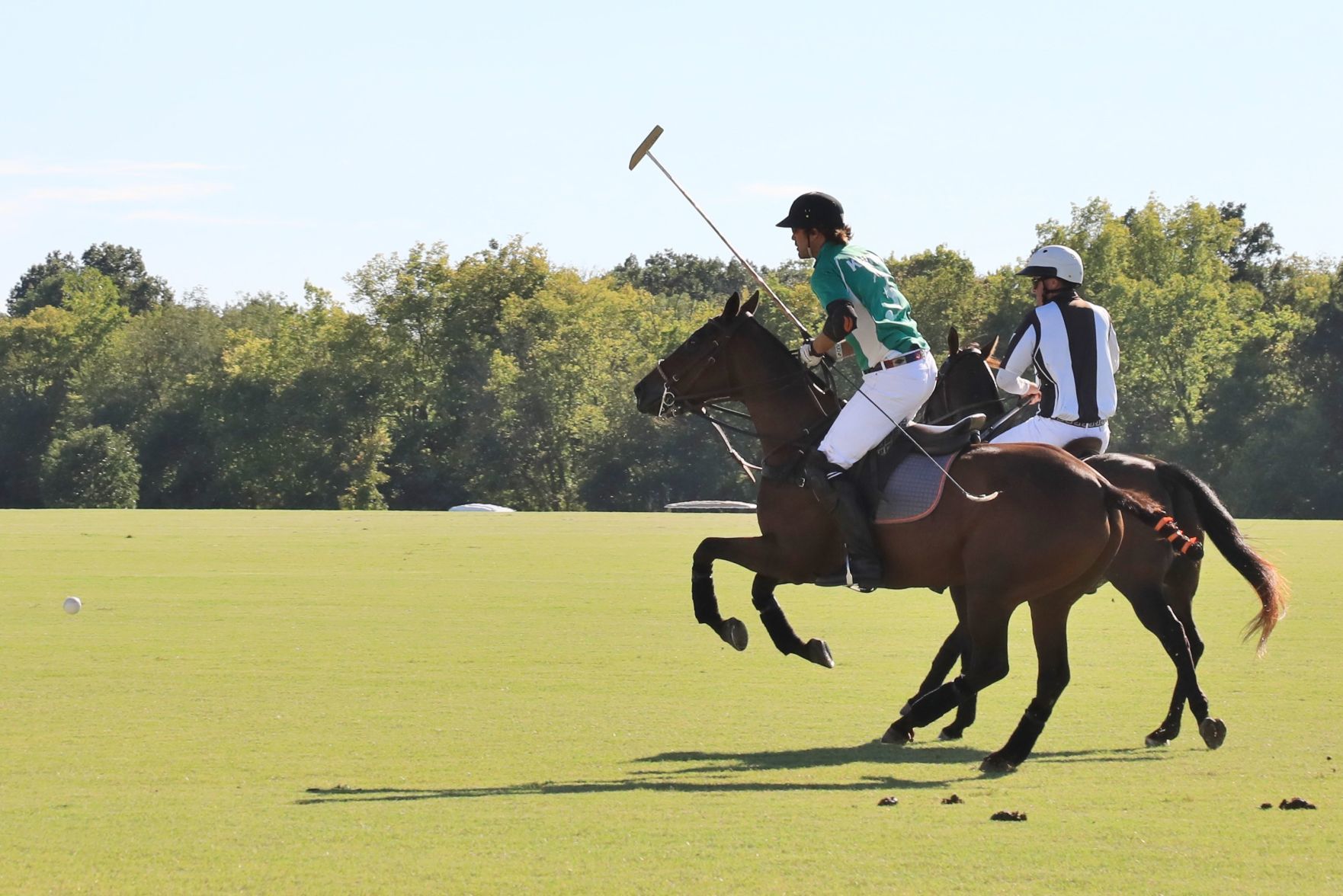 2018-Glennon-Gallop-033.JPG